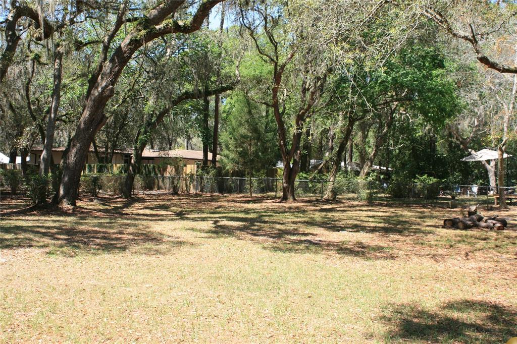 A large, grassy backyard features mature trees, a chain-link fence, and a pile of logs — 106 SW 38TH STREET, GAINESVILLE, FL
