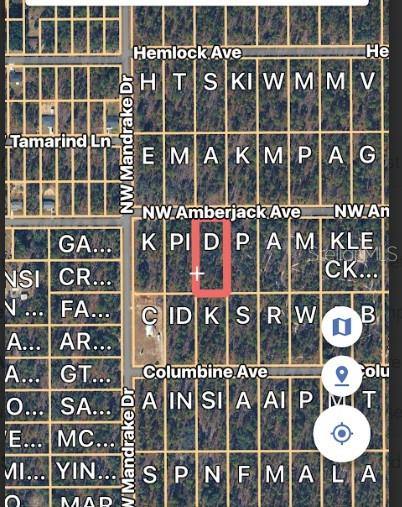 This is a map showing a highlighted rectangular land parcel located between two residential streets — LOT 3 NW AMBERJACK AVE., DUNNELLON, FL