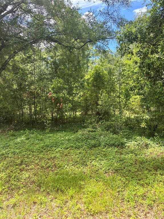 8230 NW 166TH STREET