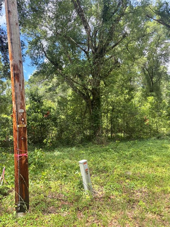 A utility pole and a small electrical pedestal stand in a wooded, grassy lot — 8230 NW 166TH STREET, FANNING SPRINGS, FL