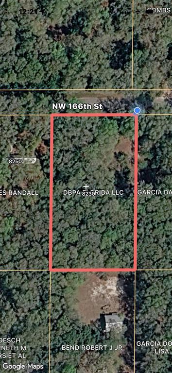 This is a satellite map view of a rectangular, wooded plot of land — 8230 NW 166TH STREET, FANNING SPRINGS, FL
