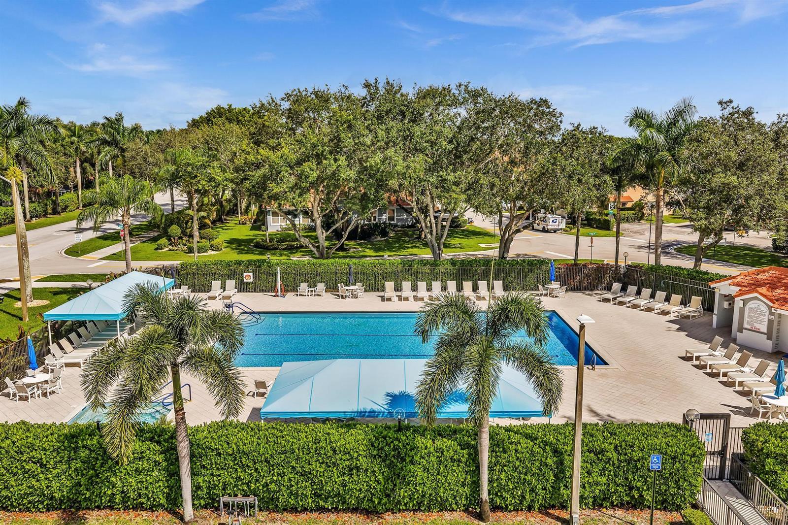 An elevated view of a rectangular swimming pool surrounded by lounge chairs and palm trees — 9589 Shadybrook Drive # 201, Boynton Beach FL 33437, BOYNTON BEACH, FL