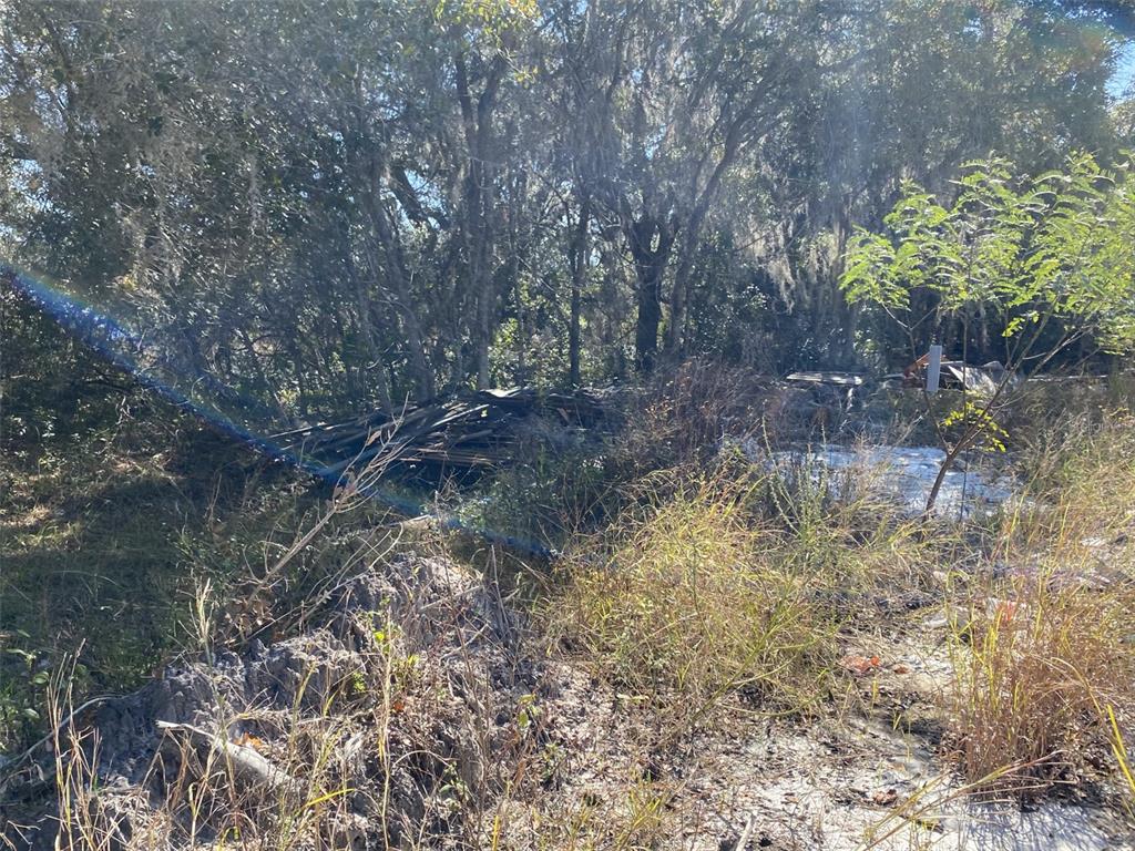 A wooded lot features a pile of debris and overgrown vegetation under a sunny sky — 1203 VERNON LANE, KISSIMMEE, FL