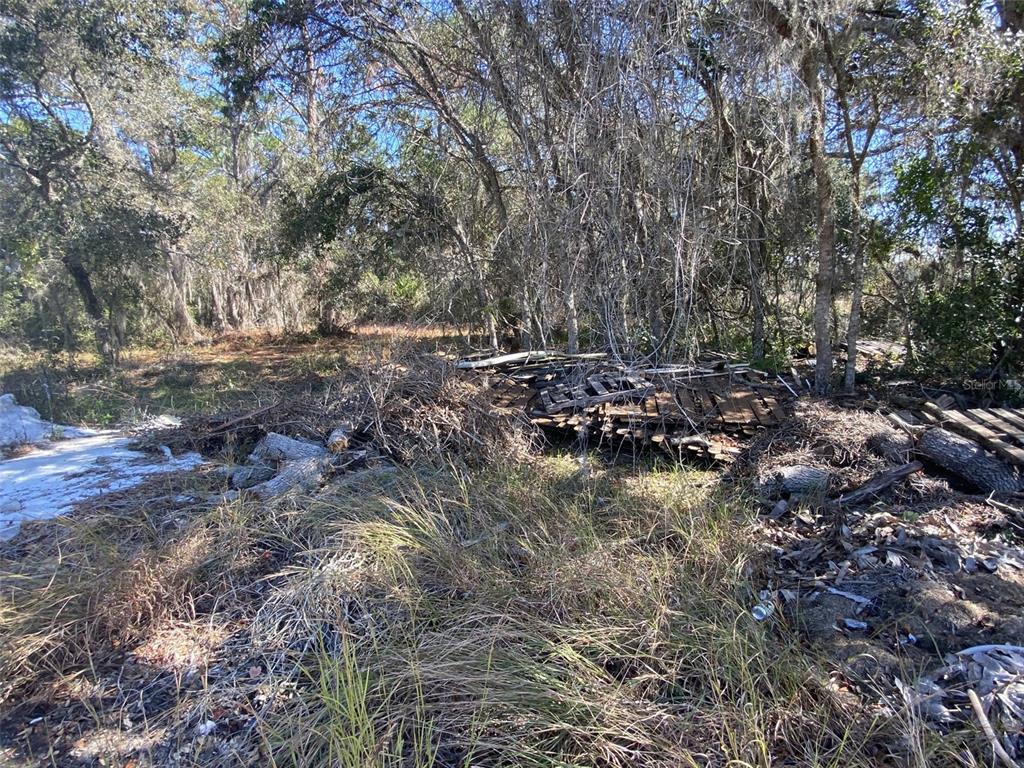 A wooded lot features a pile of discarded wooden pallets and debris on the ground — 1203 VERNON LANE, KISSIMMEE, FL