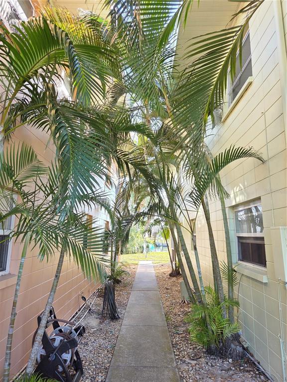 A narrow concrete walkway runs between two light-colored buildings lined with palm trees — 10215 MANATEE AVENUE W UNIT 1, BRADENTON, FL