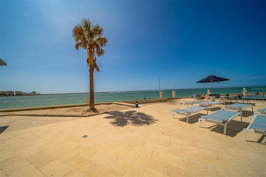 A sunny outdoor patio features lounge chairs, a palm tree, and a view of the ocean — 450 S GULFVIEW BOULEVARD UNIT 208, CLEARWATER BEACH, FL