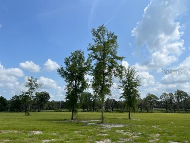 A grassy field features three tall trees under a blue sky with scattered clouds — TBD NW 14TH ST. - LOT 5, OCALA, FL
