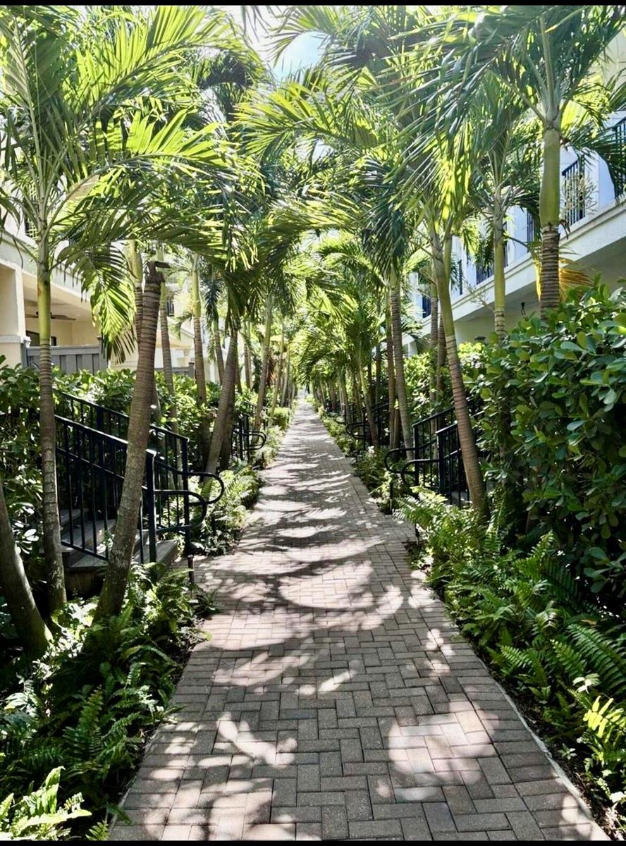 A brick walkway lined with palm trees leads between two residential buildings with black railings — 621 Windward Circle S, Boynton Beach FL 33435, BOYNTON BEACH, FL