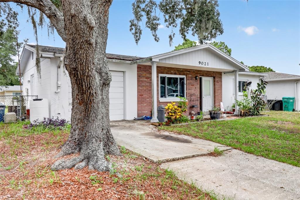 A single-story house with a brick facade, a concrete driveway, and a large oak tree — 9021 RICHWOOD LANE, PORT RICHEY, FL
