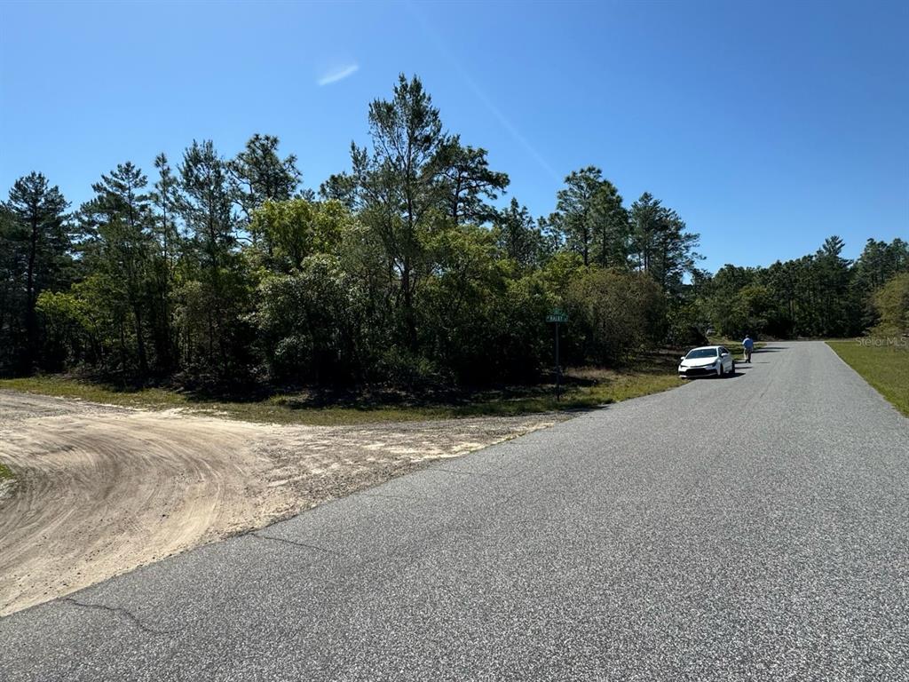 A paved road leads to a wooded corner lot with a white car parked nearby — 3861 W MALBY LANE, DUNNELLON, FL