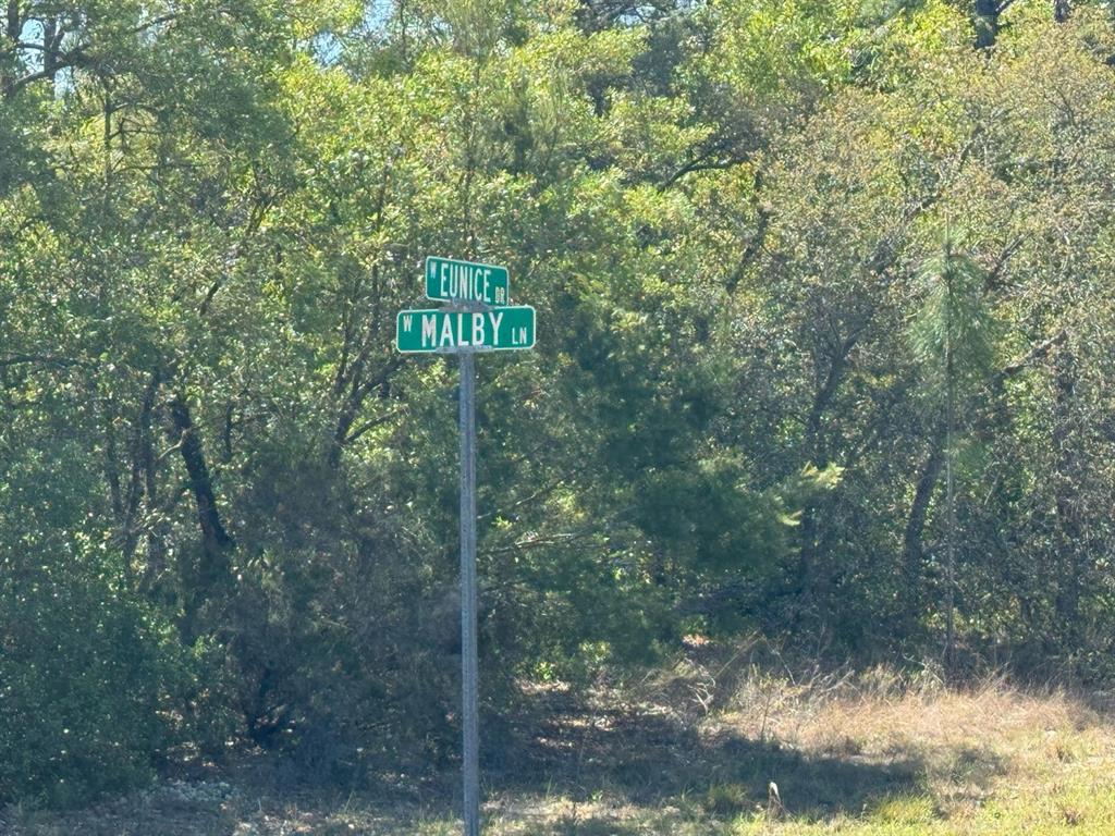 A street sign stands at the intersection of W Eunice Dr and W Malby Ln — 3861 W MALBY LANE, DUNNELLON, FL