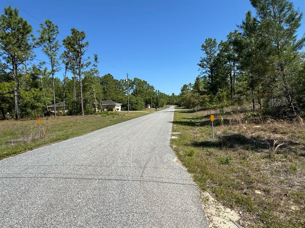 A paved road stretches into the distance between wooded lots with yellow survey markers — 3861 W MALBY LANE, DUNNELLON, FL