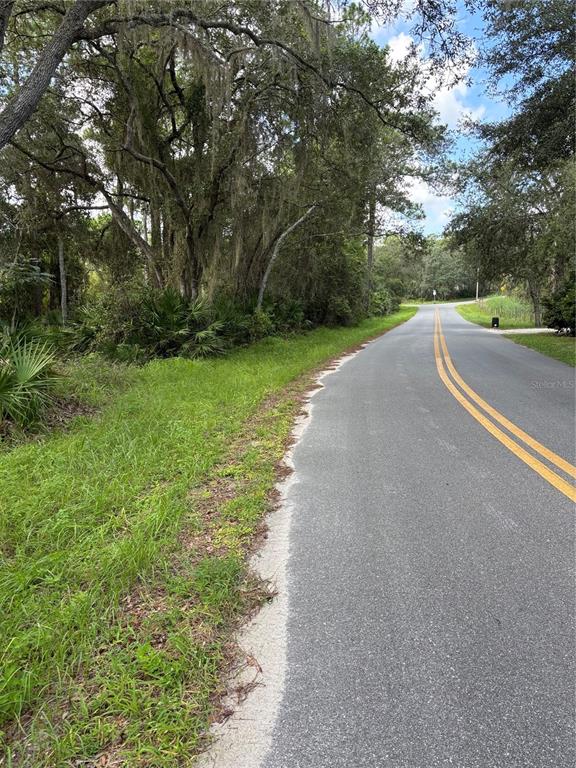 246 BROWNS HAMMOCK ROAD