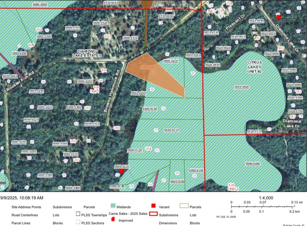 This is a land parcel map showing property boundaries, wetlands, and road locations — 246 BROWNS HAMMOCK ROAD, CRESCENT CITY, FL