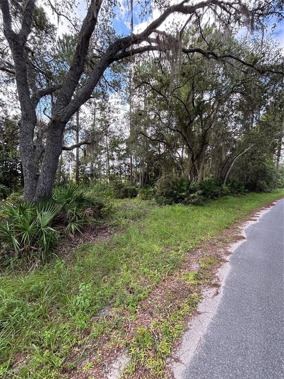 A wooded, undeveloped lot with mature trees and palmettos borders a paved road — 246 BROWNS HAMMOCK ROAD, CRESCENT CITY, FL