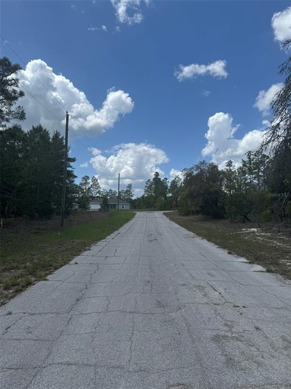 A paved road leads toward a distant house surrounded by trees under a cloudy sky — 2984 W LIZA PLACE, DUNNELLON, FL