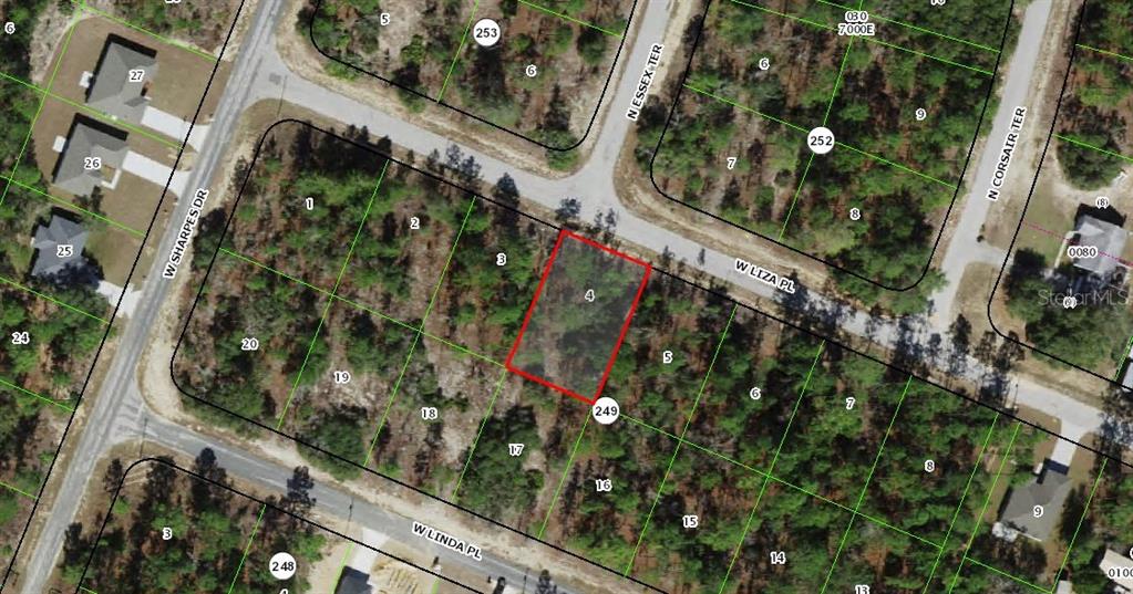 This is an aerial map showing a vacant, wooded residential lot outlined in red — 2984 W LIZA PLACE, DUNNELLON, FL