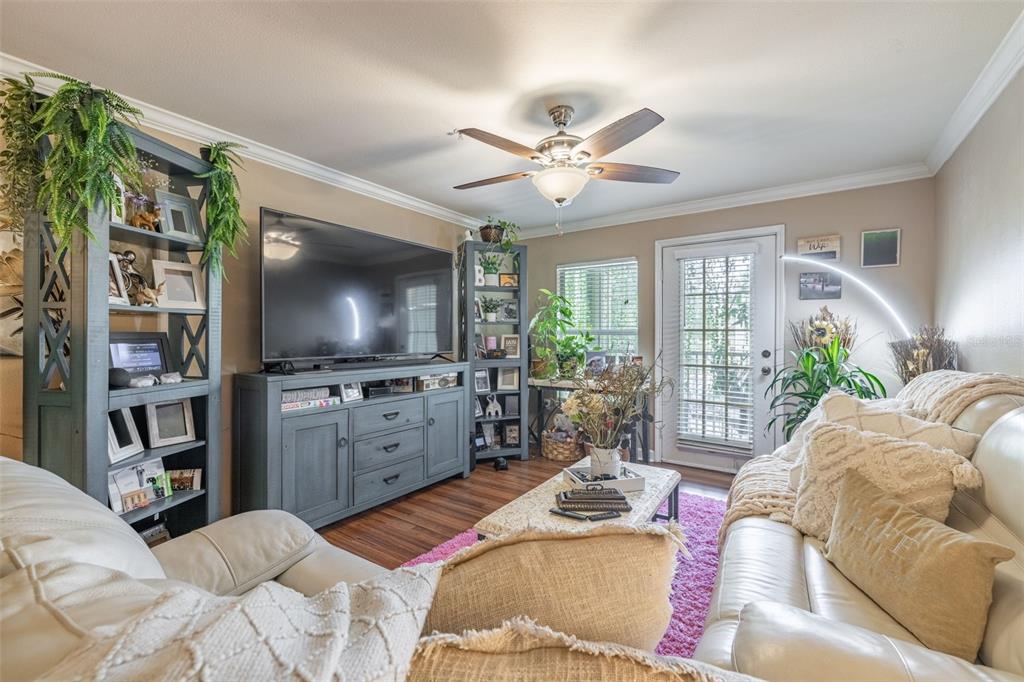 A living room features a large television, grey shelving units, a white sofa, and a ceiling fan — 18439 BRIDLE CLUB DRIVE, TAMPA, FL