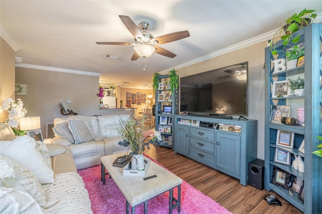 A living room features a white sofa, a pink rug, and blue furniture including a media console — 18439 BRIDLE CLUB DRIVE, TAMPA, FL