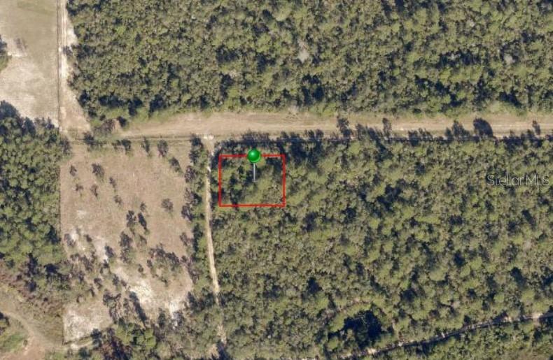 An aerial view shows a rectangular plot of land outlined in red within a wooded area — NO STREET, DE LEON SPRINGS, FL
