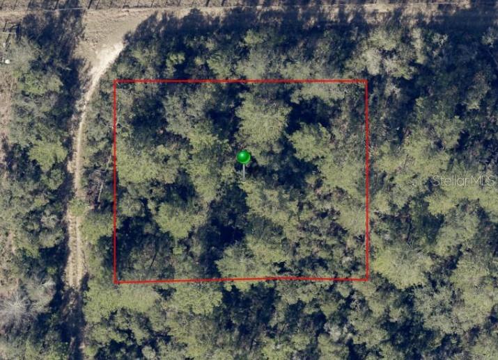 An aerial view shows a rectangular plot of land outlined in red within a forest — NO STREET, DE LEON SPRINGS, FL