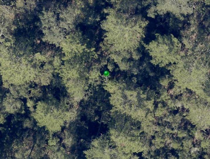 This aerial view shows a green map pin marking a location within a dense forest — NO STREET, DE LEON SPRINGS, FL