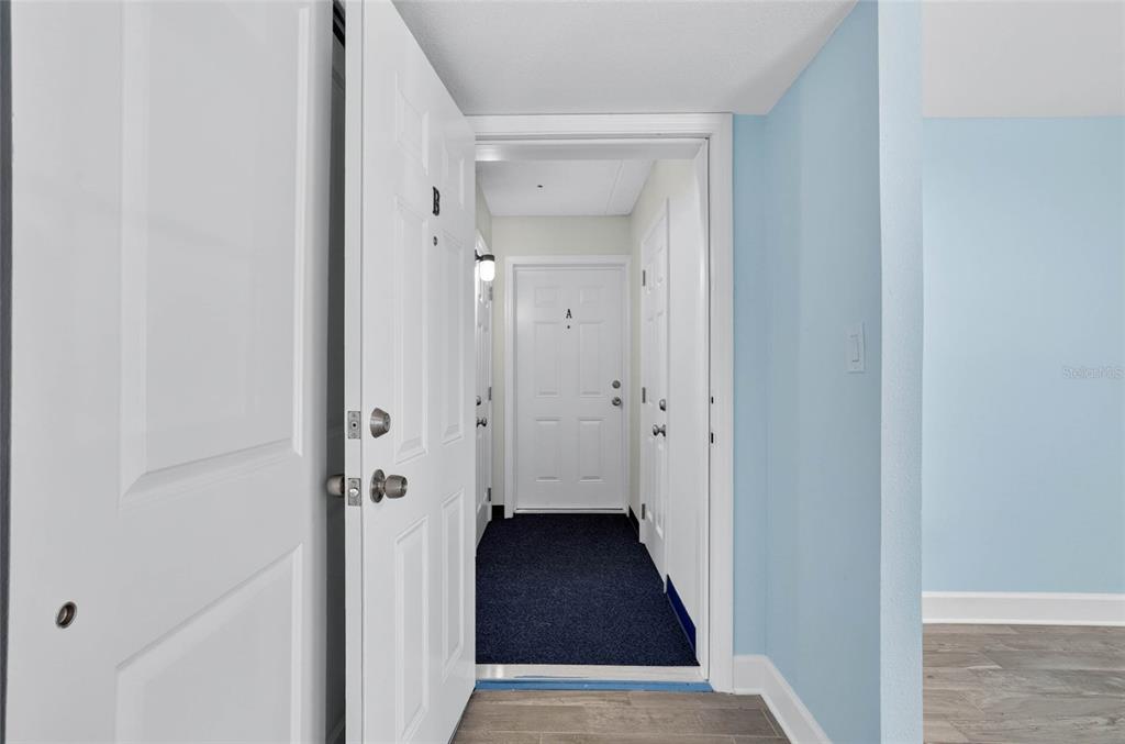 An open white door reveals a hallway with a dark carpet and a door labeled A — 8542 10TH STREET N UNIT B, ST PETERSBURG, FL