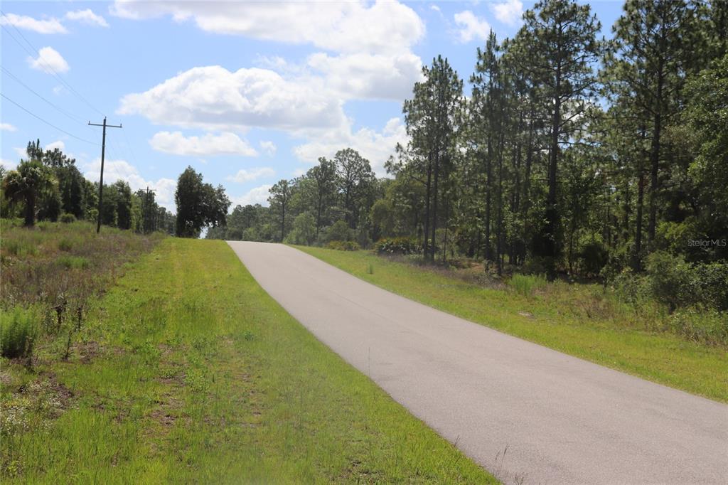 A paved road stretches through a grassy, wooded landscape under a partly cloudy sky — TBD SE 114TH PLACE, DUNNELLON, FL