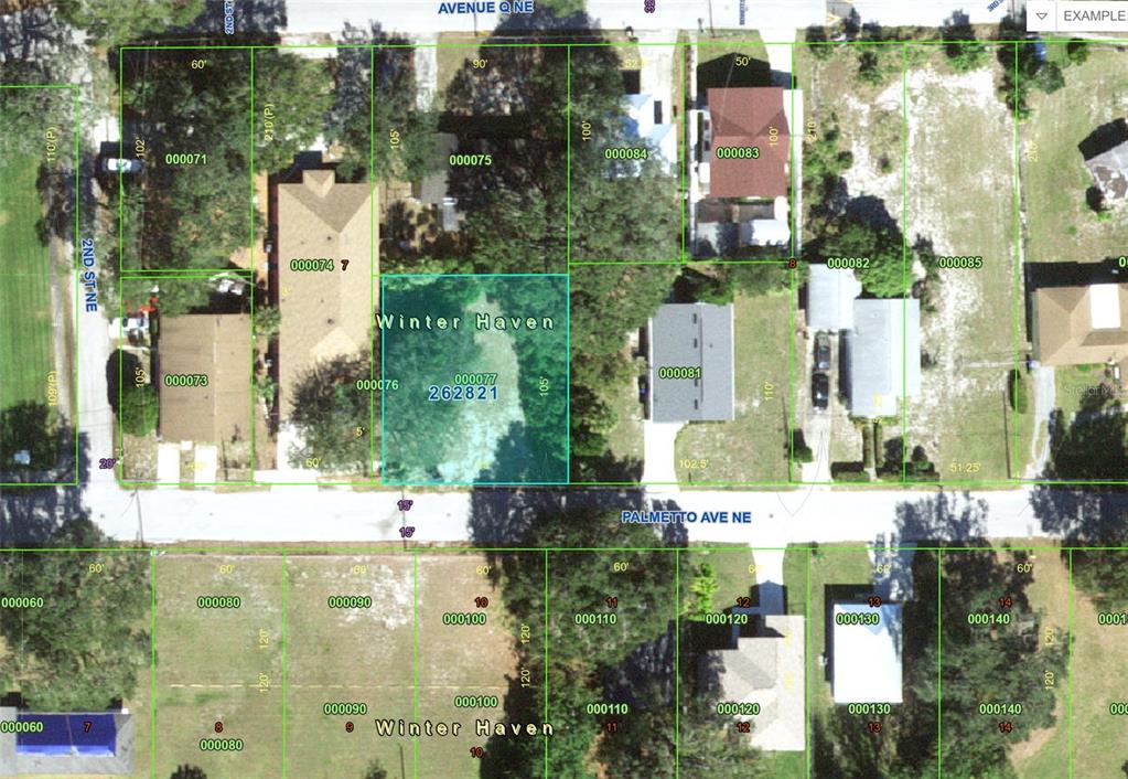 This is a property tax map showing parcel boundaries and lot dimensions in Winter Haven — 223 PALMETTO AVENUE NE, WINTER HAVEN, FL