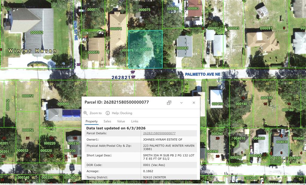 This is a satellite map view showing a vacant residential lot highlighted in blue — 223 PALMETTO AVENUE NE, WINTER HAVEN, FL