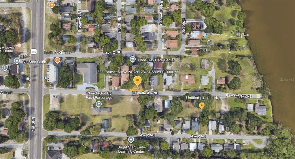 This is an aerial map view showing a residential lot highlighted in a neighborhood — 223 PALMETTO AVENUE NE, WINTER HAVEN, FL