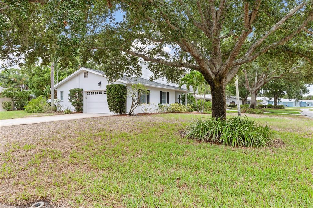 A white single-story house with a garage and a large tree in the front yard — 1901 DORMIEONE ROAD N, ST PETERSBURG, FL