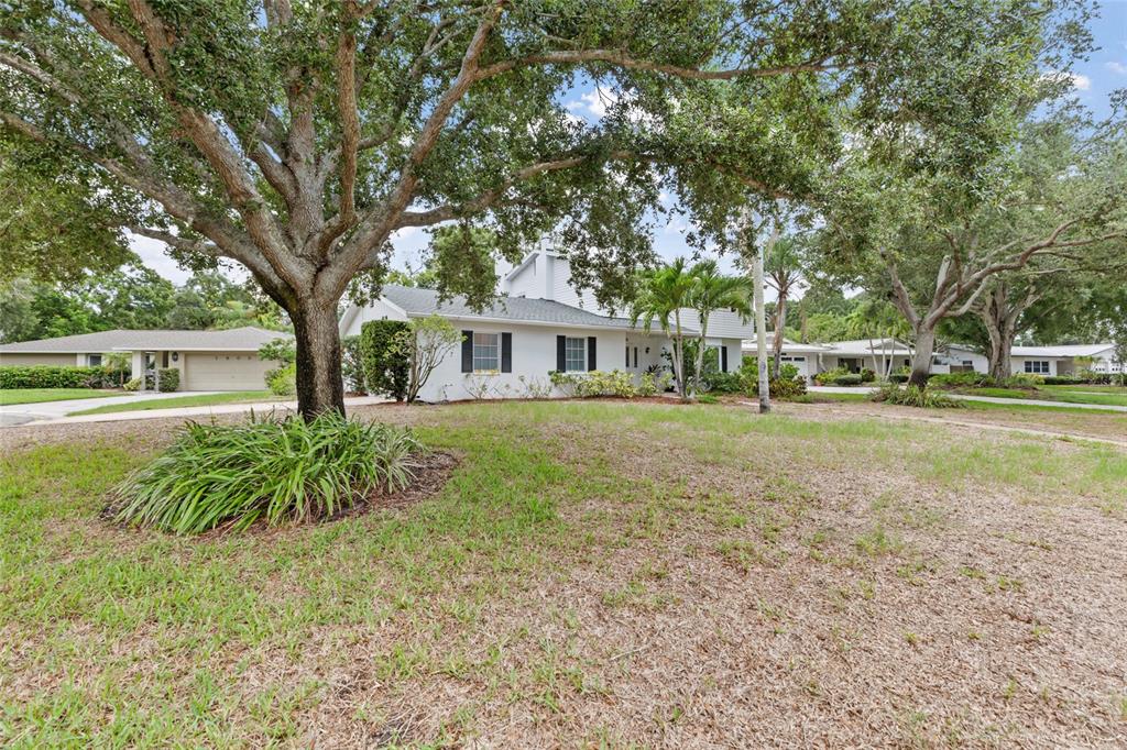 A single-story white house with dark shutters sits behind a large tree and lawn — 1901 DORMIEONE ROAD N, ST PETERSBURG, FL