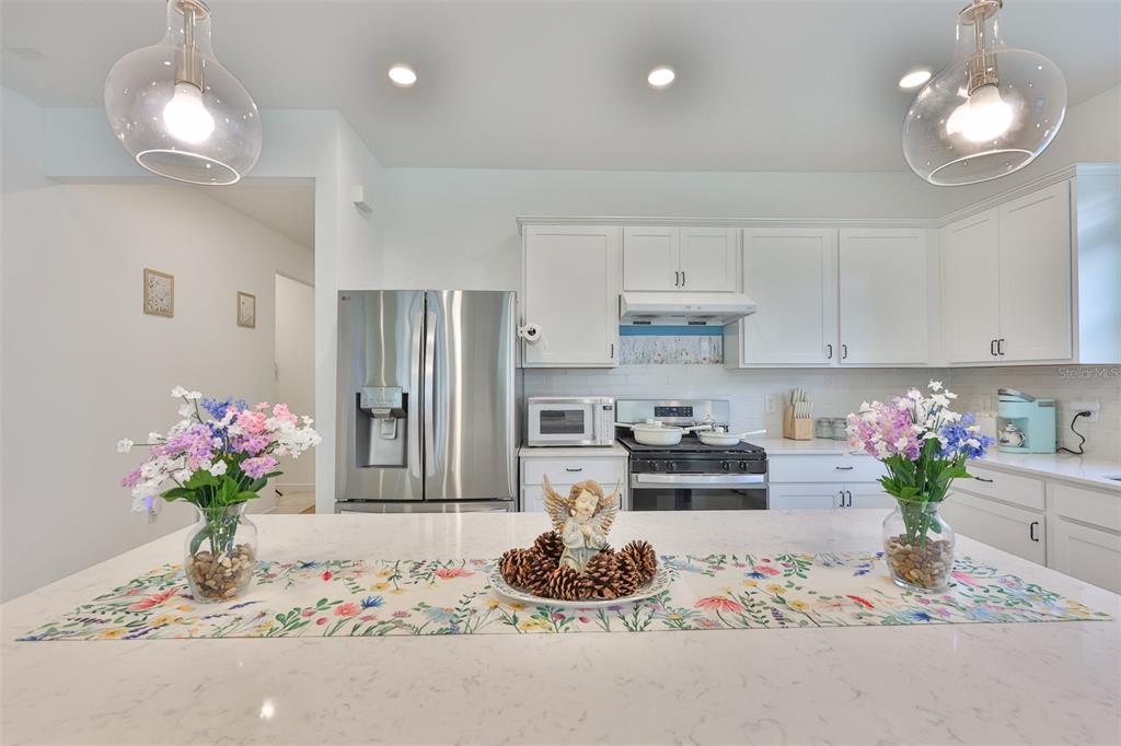 A kitchen features white cabinets, stainless steel appliances, a quartz island, and floral table runners — 2948 FOREST MEADOW AVENUE, VALRICO, FL