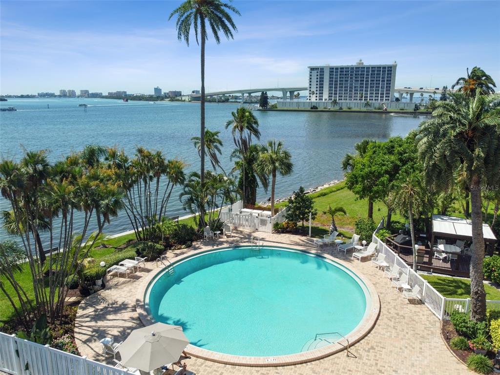 An aerial view shows a circular swimming pool surrounded by palm trees and a waterfront — 80 ROGERS STREET UNIT 6C, CLEARWATER, FL