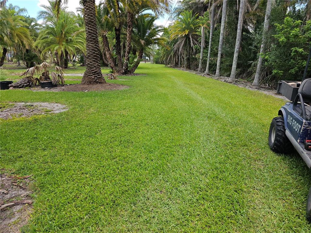 A grassy yard features several palm trees and a golf cart on the right side — 1405 6TH STREET SE, RUSKIN, FL