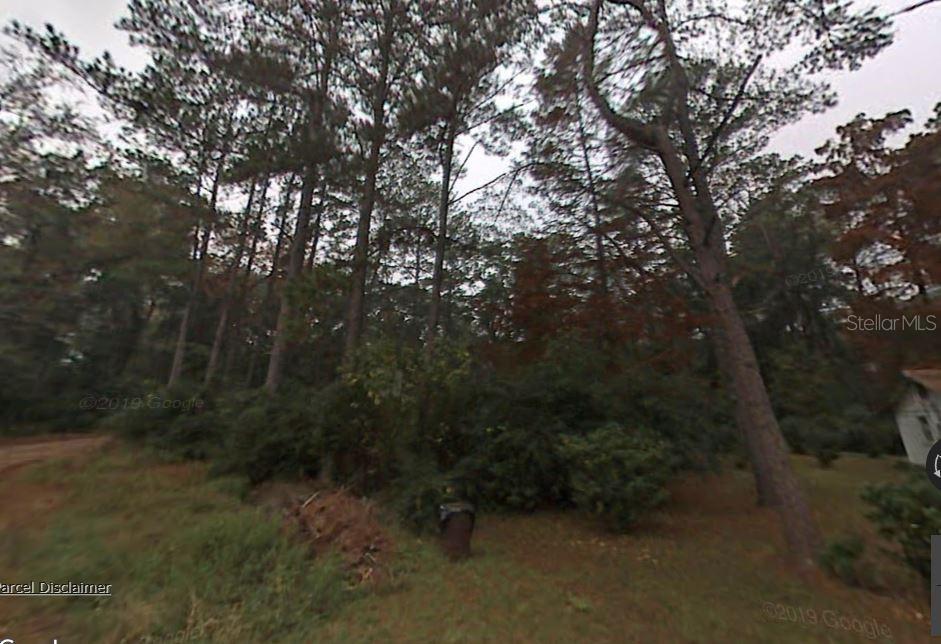 A wooded lot with tall pine trees and dense underbrush under an overcast sky — PICHARD DRIVE, TALLAHASSEE, FL