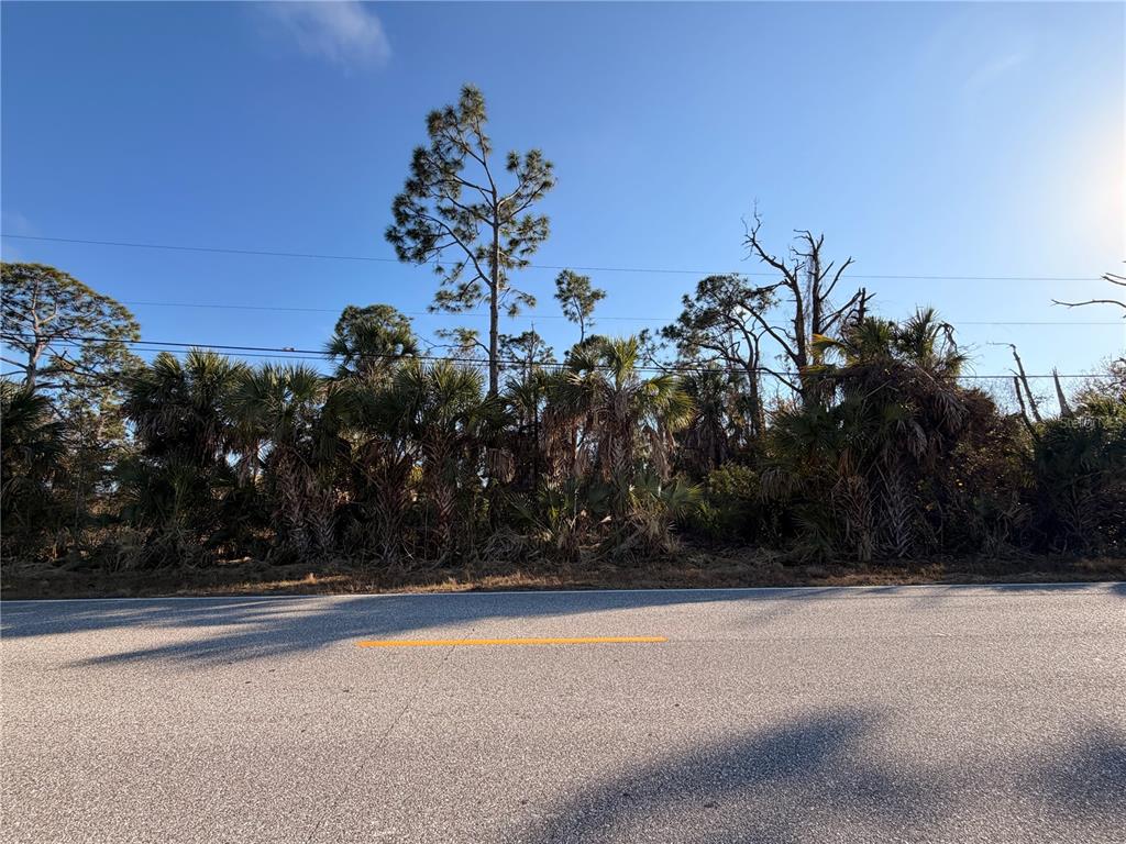A paved road runs in front of a dense line of palm trees and pines — 9105 FRUITLAND AVENUE, ENGLEWOOD, FL