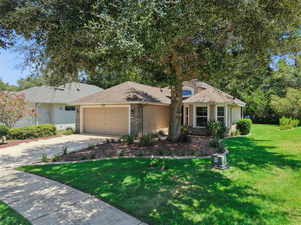 A single-story house with a tan exterior, stone accents, and a large tree in front — 3022 NEW HAVEN PLACE, MOUNT DORA, FL