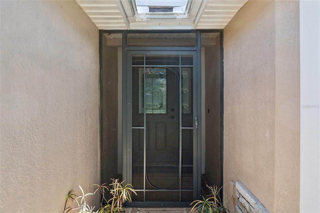 A dark metal screen door is centered in a recessed entryway with beige stucco walls — 3022 NEW HAVEN PLACE, MOUNT DORA, FL