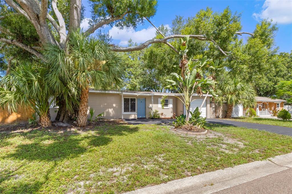 A single-story house with a light-colored exterior, a blue front door, and mature landscaping — 7420 DR MARTIN LUTHER KING JR STREET N, ST PETERSBURG, FL