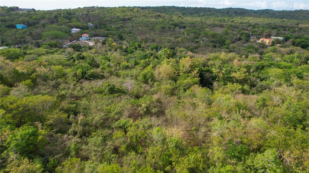 3055 BO. PILON, VIEQUES, PR — photo 2 of 4