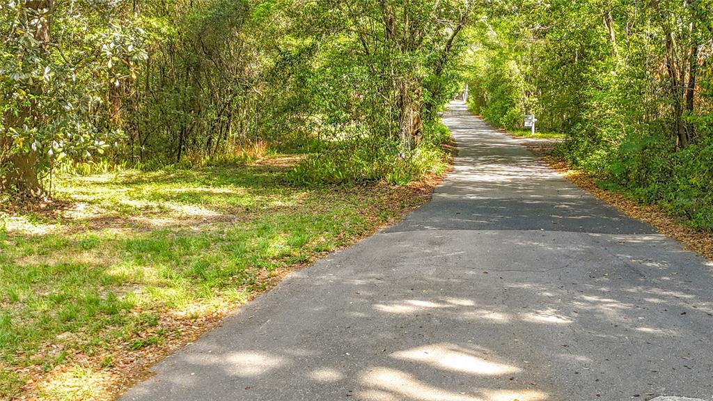A paved road winds through a wooded area with dense trees and green foliage — Lot 001 NW 37TH DRIVE, GAINESVILLE, FL