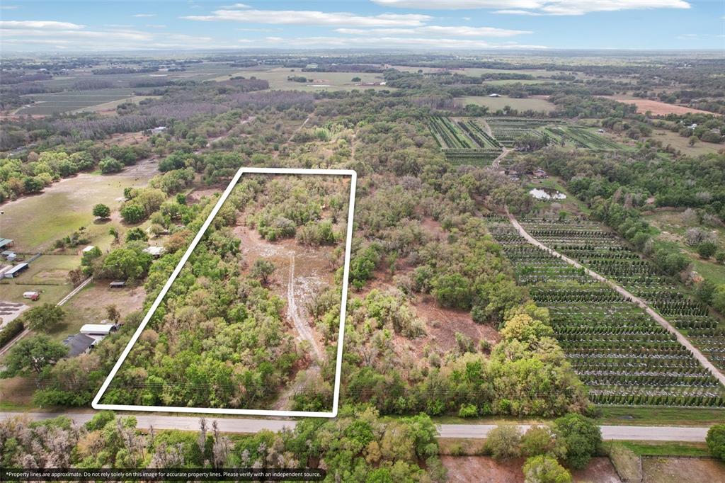 An aerial view shows a rectangular plot of land outlined in white amidst rural vegetation — 4021 BRUTON ROAD, PLANT CITY, FL