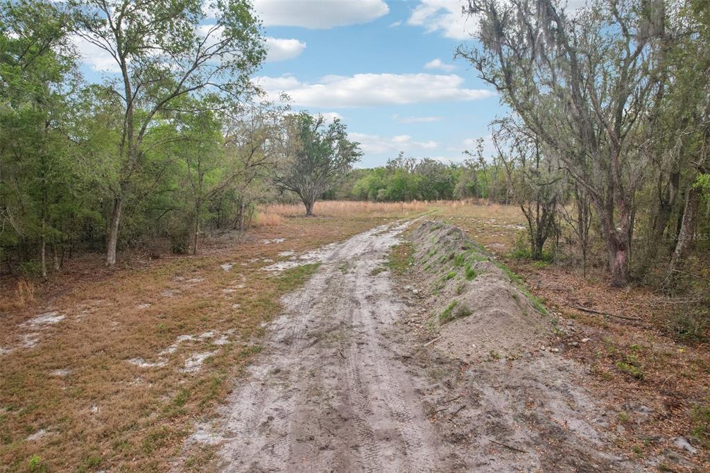 A dirt path leads through a wooded lot with a mound of dirt on the right — 4021 BRUTON ROAD, PLANT CITY, FL
