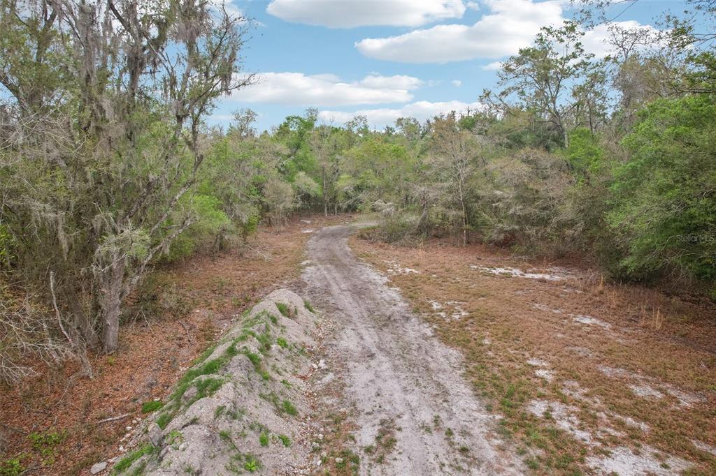 A dirt path leads through a wooded area with a small mound of dirt nearby — 4021 BRUTON ROAD, PLANT CITY, FL
