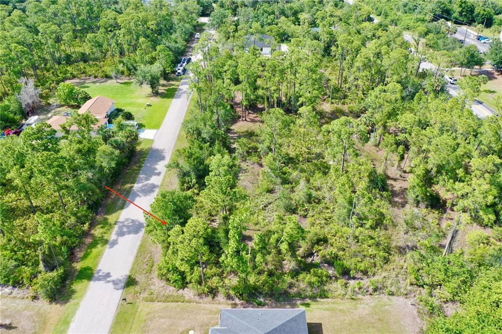 An aerial view shows a wooded, undeveloped residential lot situated next to a paved road — 1214 BLALOCK STREET, PORT CHARLOTTE, FL