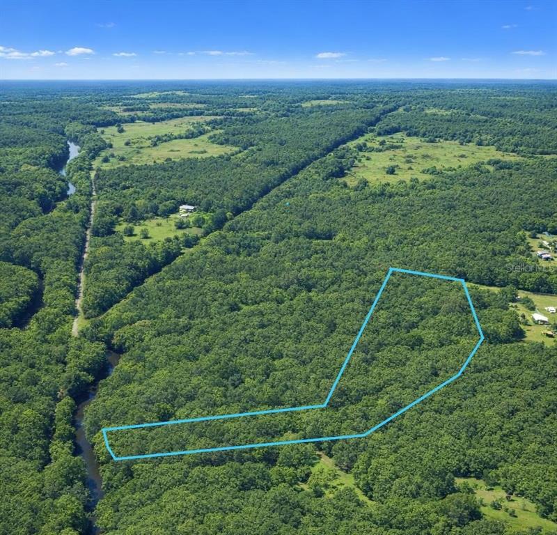 An aerial view shows a wooded plot of land outlined in blue near a river — CHEROKEE DRIVE, SOPCHOPPY, FL