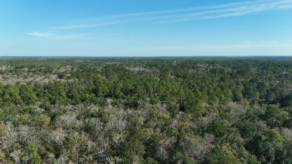 An aerial view shows a vast, dense forest under a clear blue sky — CHEROKEE DRIVE, SOPCHOPPY, FL