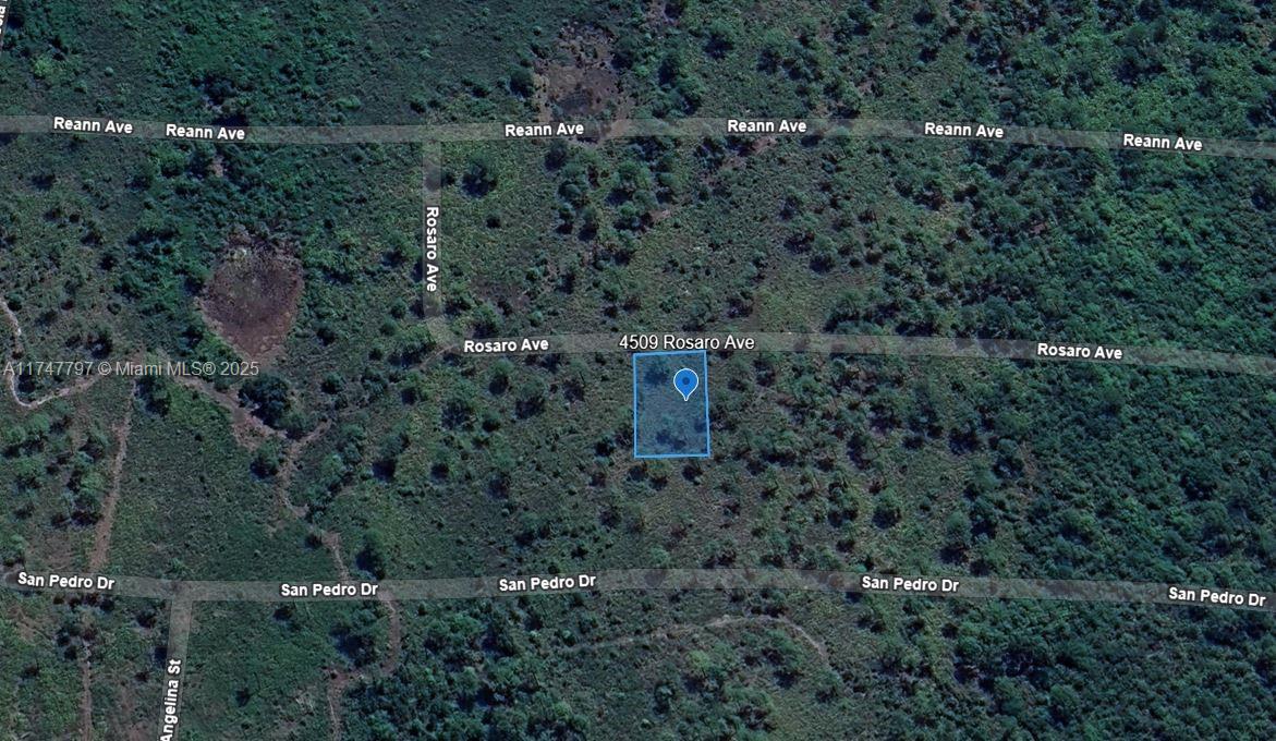 This is an aerial map view showing a vacant, wooded lot highlighted in blue — 4509 Rosaro Ave, Sebring FL 33872, SEBRING, FL